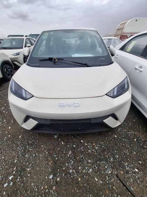 BYD Seagull Glory Edition 405KM Flying Edition