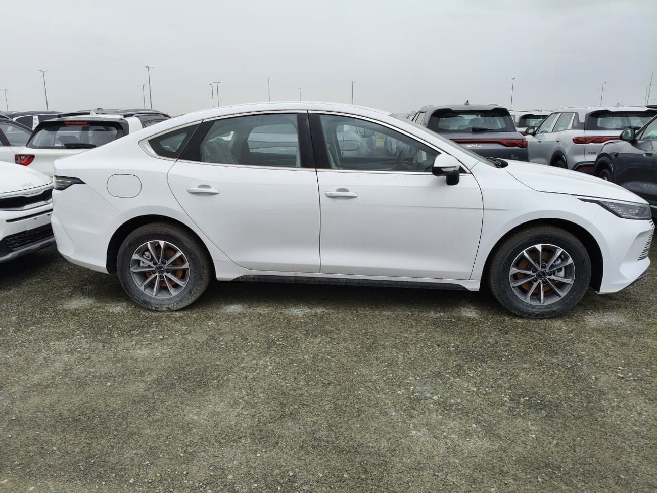 بي واي دي ديسترويار 05 STD (NON GCC) DM-i 55KM Luxury Model
