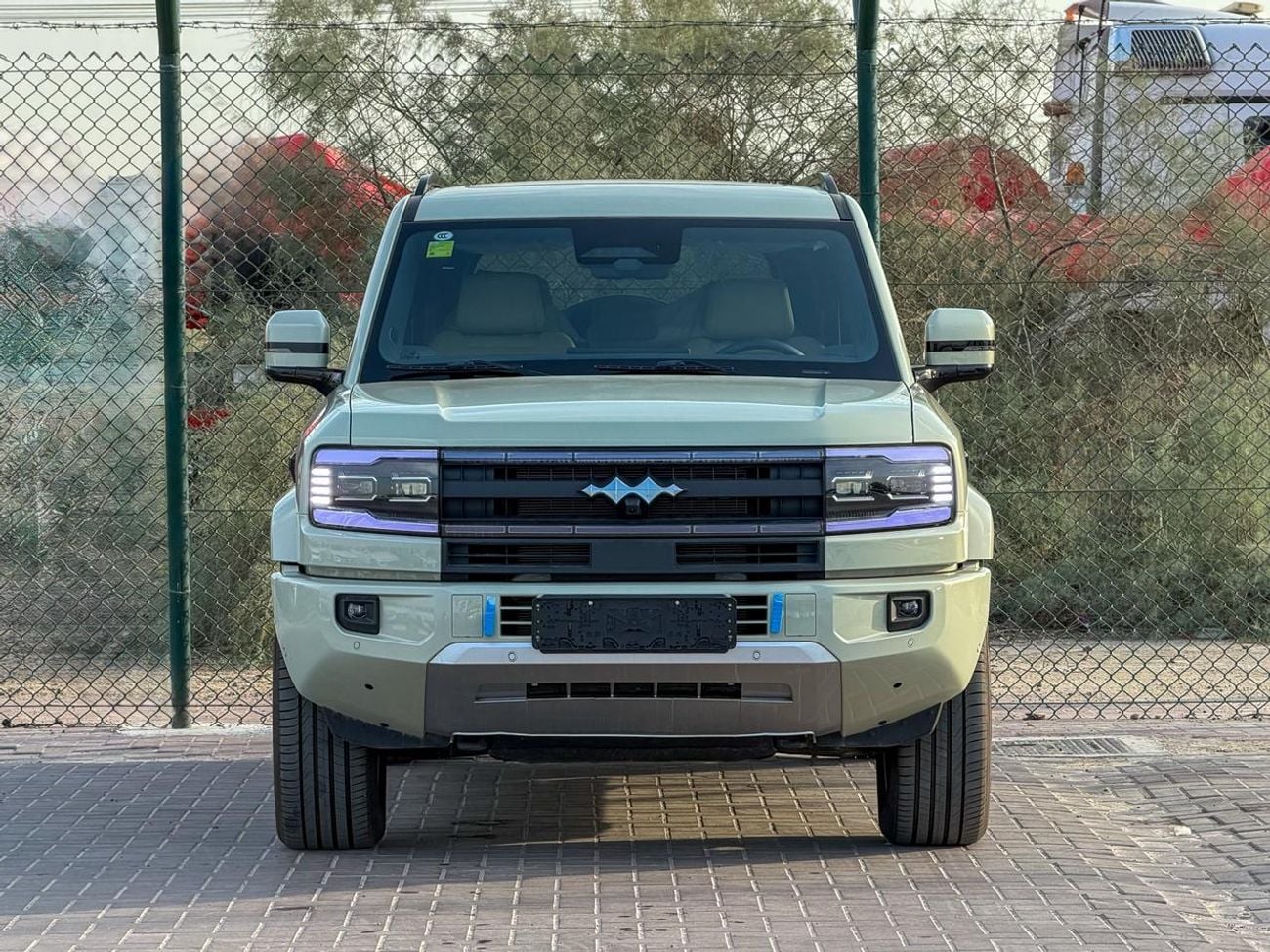 بي واي دي ليوبارد 5