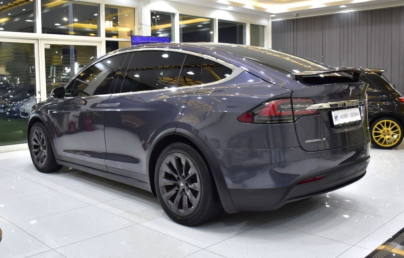Tesla Model X EXCELLENT DEAL for our Tesla Model X 100D - Long Range ( 2019 Model ) in Grey Color GCC Specs