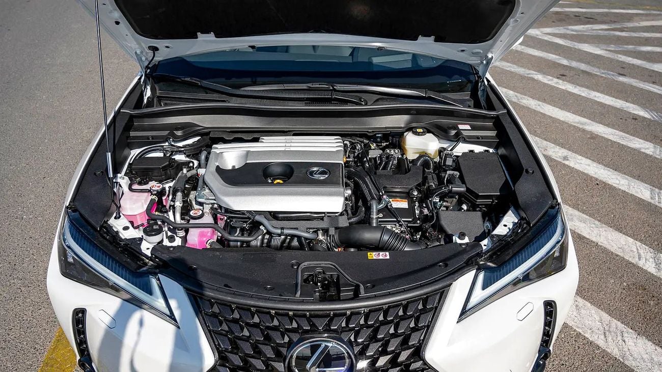 Lexus UX250h UX 250 | 2-YEAR WARRANTY + SERVICE AVAILABLE | IN-HOUSE FINANCING | 0% DOWNPAYMENT (BANK)