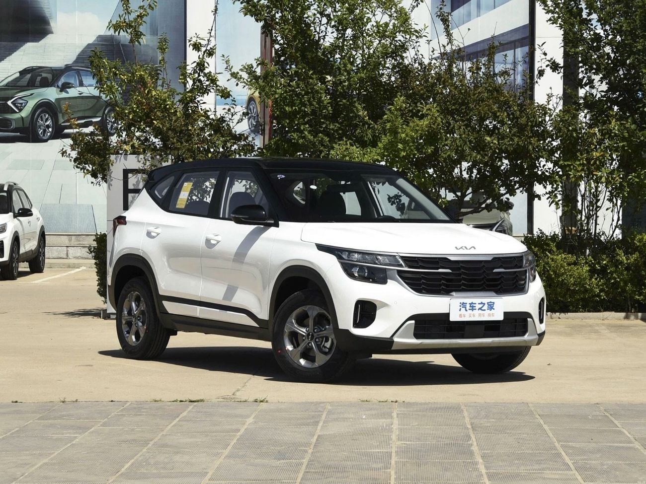 Kia Seltos white-black