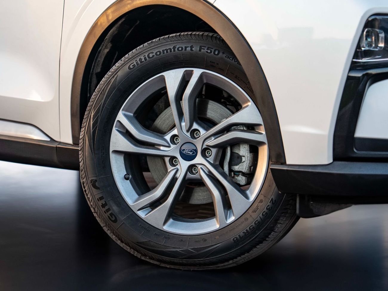 فورد تيريتوري Trend