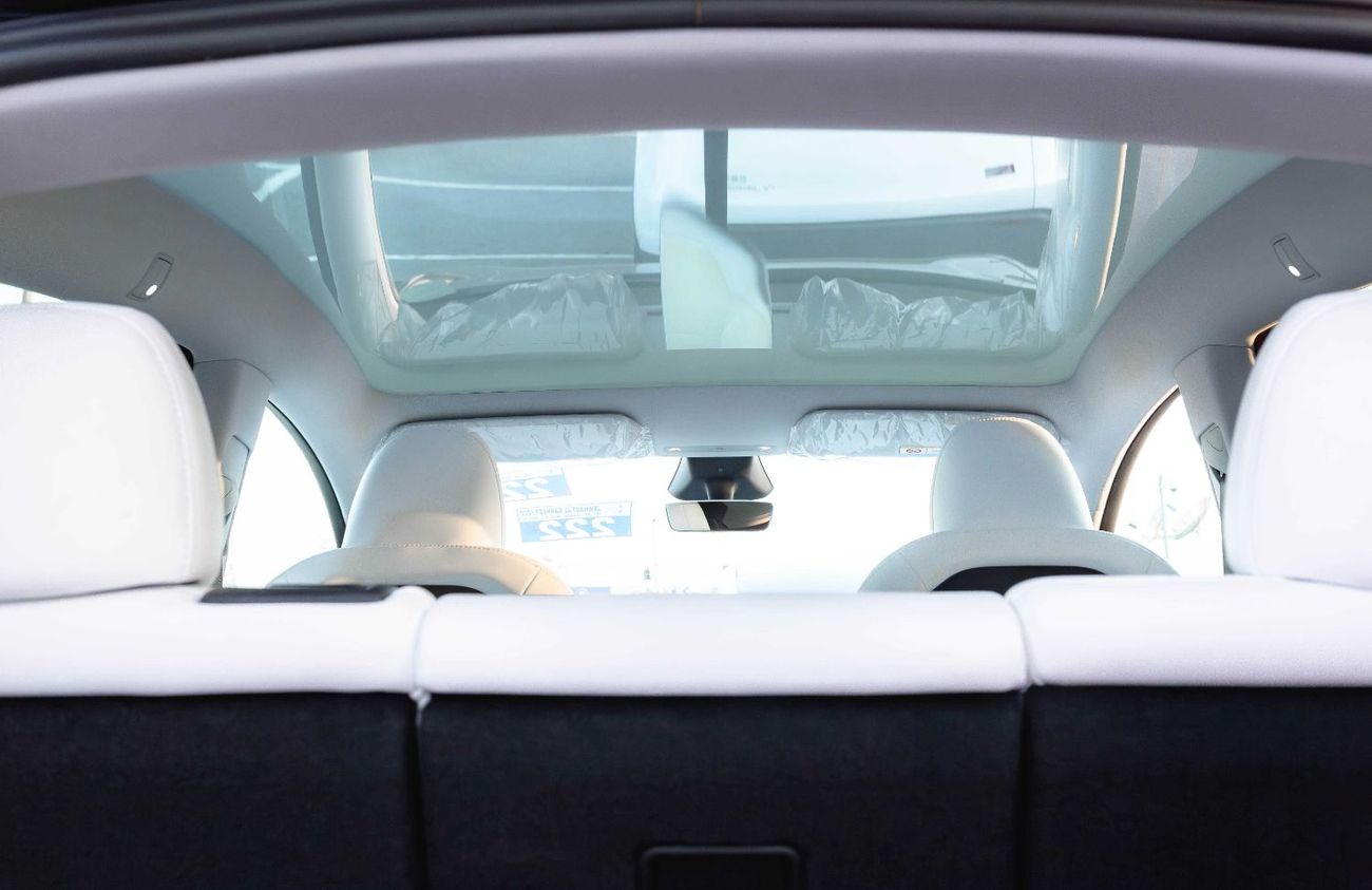 Tesla Model Y Tesla Model Y Long Range (719KM) 2025