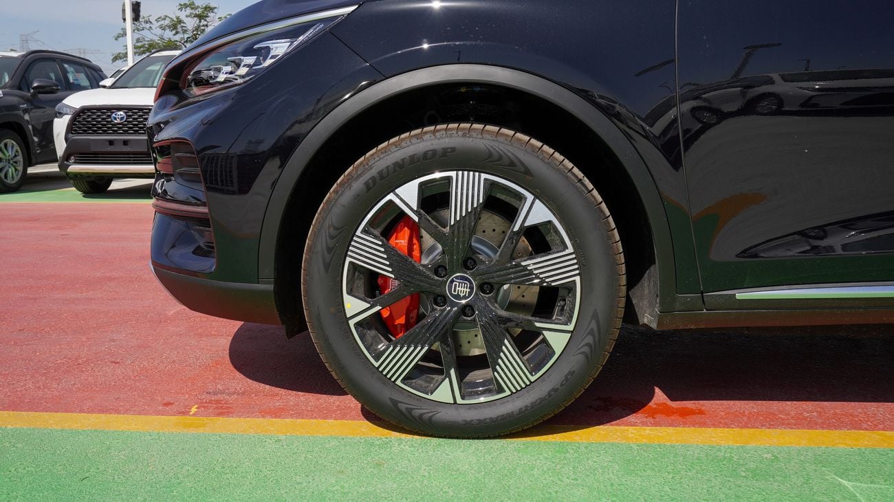 بي واي دي تانغ