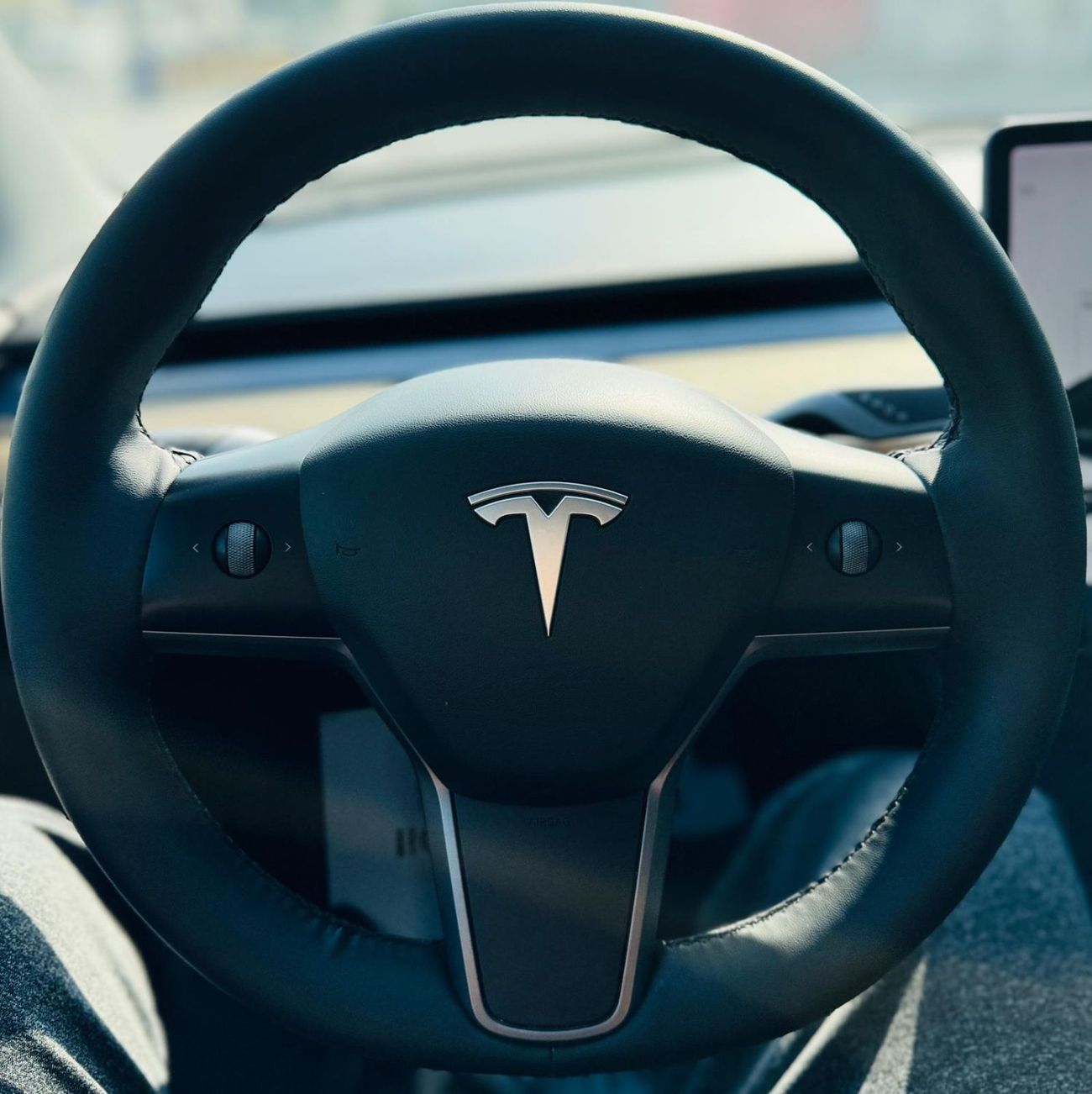 Tesla Model 3 Rear-Wheel Drive