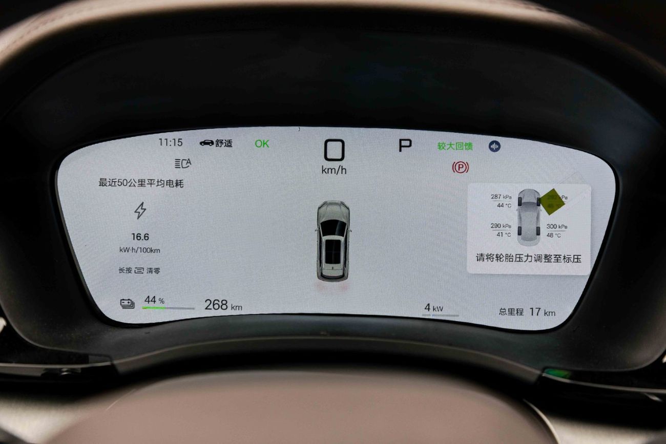 بي واي دي سونغ بلس ID Flagship - Smoke Grey Inside Beige & Grey | Export Only