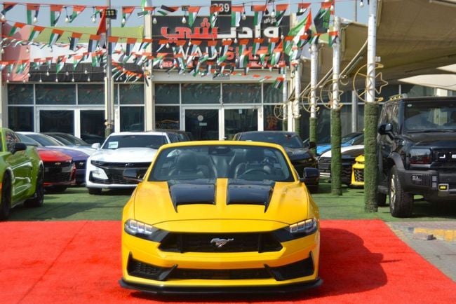 Ford Mustang STANDARD, миниатюра 24