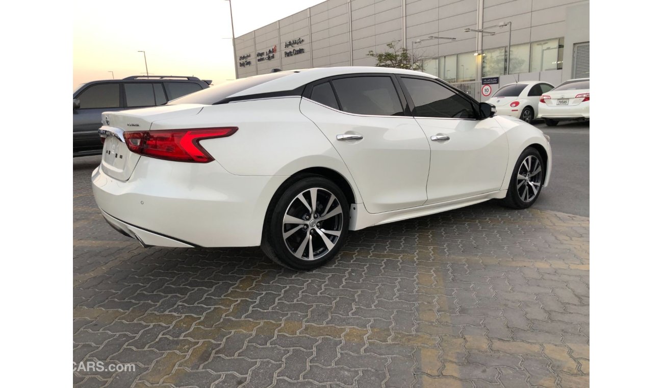 Nissan Maxima korean importer