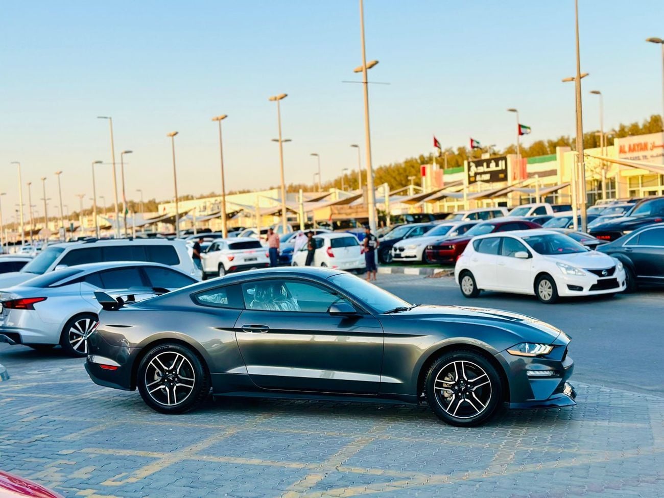 فورد موستانج STD