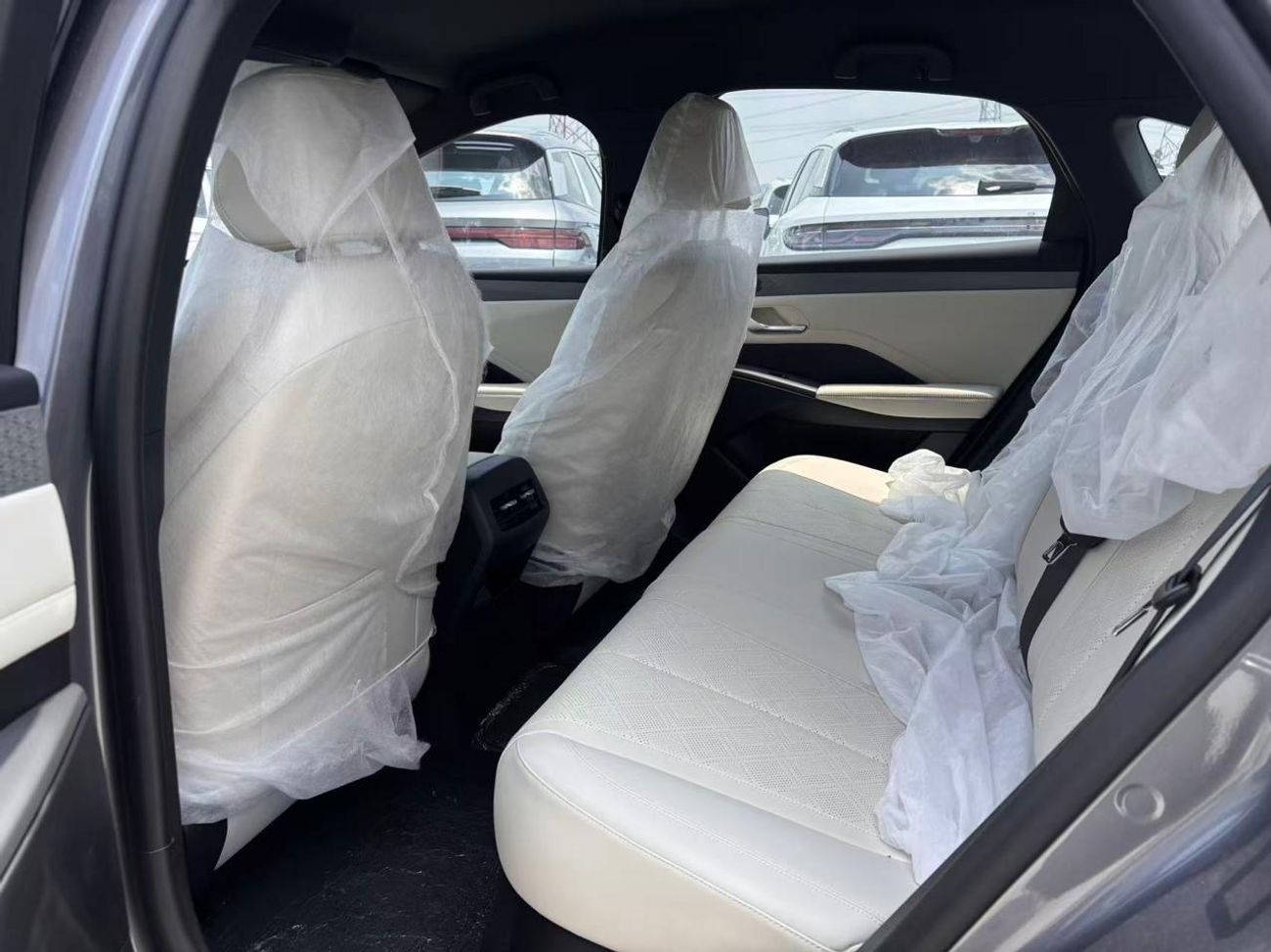 بي واي دي كين بلاس STD DM-I 128KM Active Type | For export