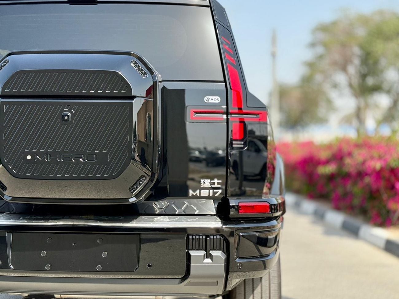 دونج فينج إم هيرو إم 817