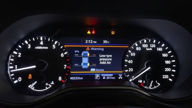Nissan Xterra PLATINUM, миниатюра 30