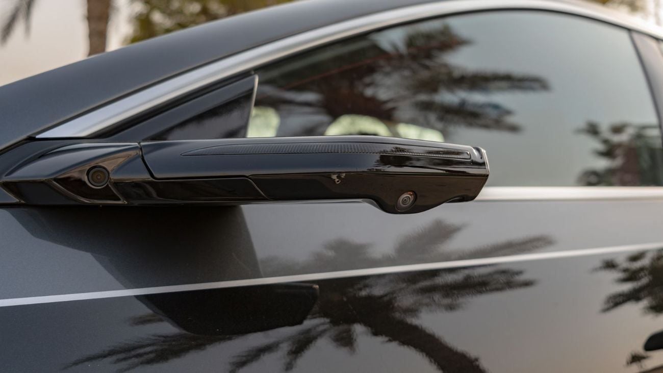 أفاتر 12 2025 | AVATAR 12 ROYAL THEATRE