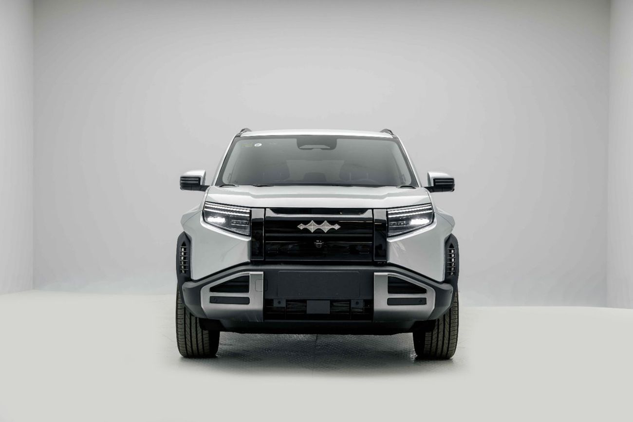 BYD Leopard Titanium 3 ID Ultra - Silver Inside Black | Export Only