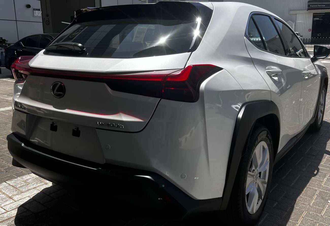 Lexus UX300h