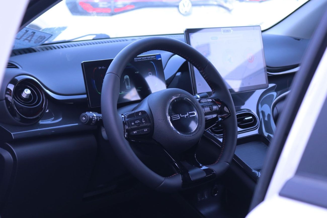 BYD e2 BYD E2 2024 (WHITE COLOR )