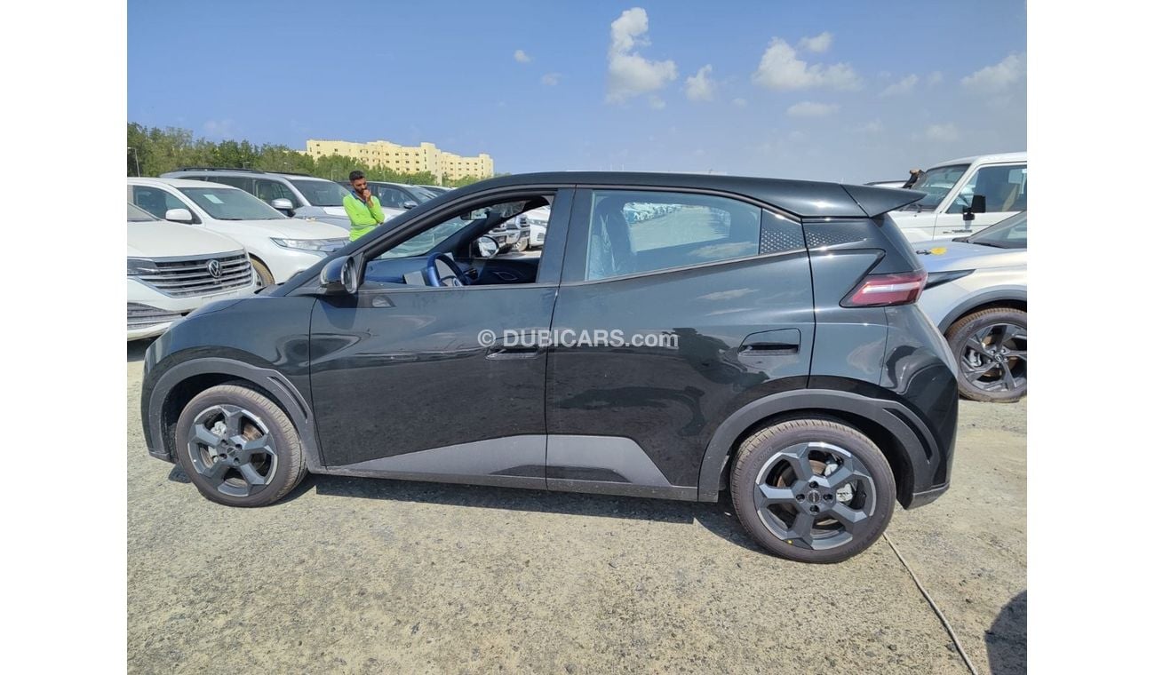 BYD Dolphin EV Seagull