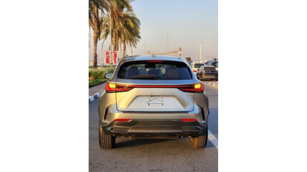 Lexus NX 250 LEXUS NX250 FULL OPTION 2022