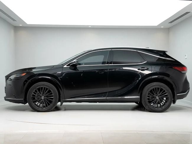 Lexus RX F-SPORT, миниатюра 18