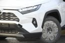 Toyota RAV4 Limited 2.5L hybrid with BSM & Door Molding