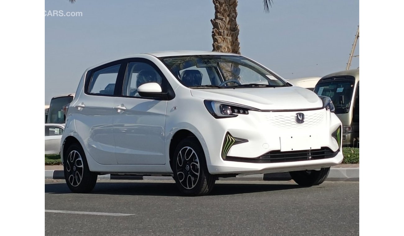 Changan Ben EStar Ready Stock, Electric Car Full 2022 (CODE # 452671)