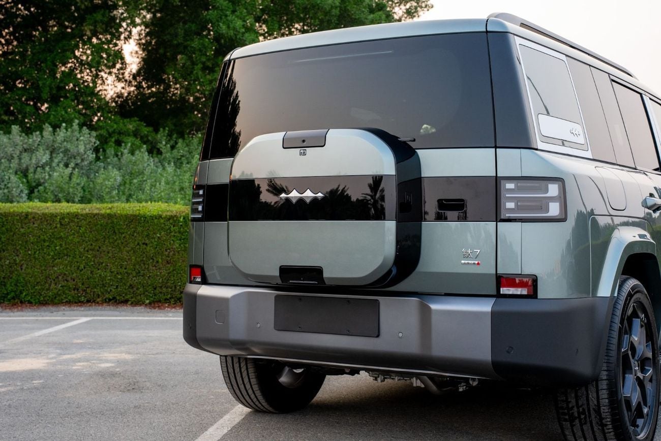 BYD Leopard Titanium 7