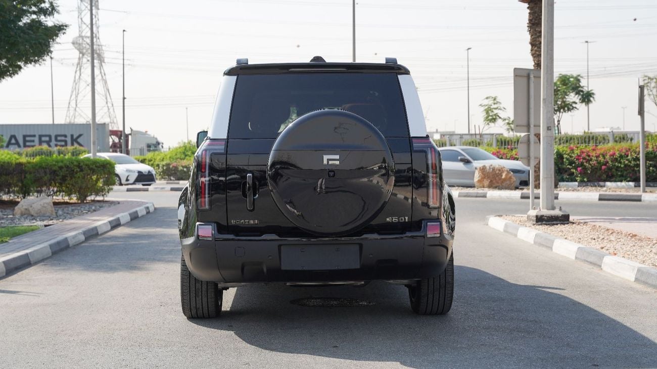 روكس 01 ROX01 6Seats, VIP Seats, Chines Specs - 2026 (Export) Ready Stock