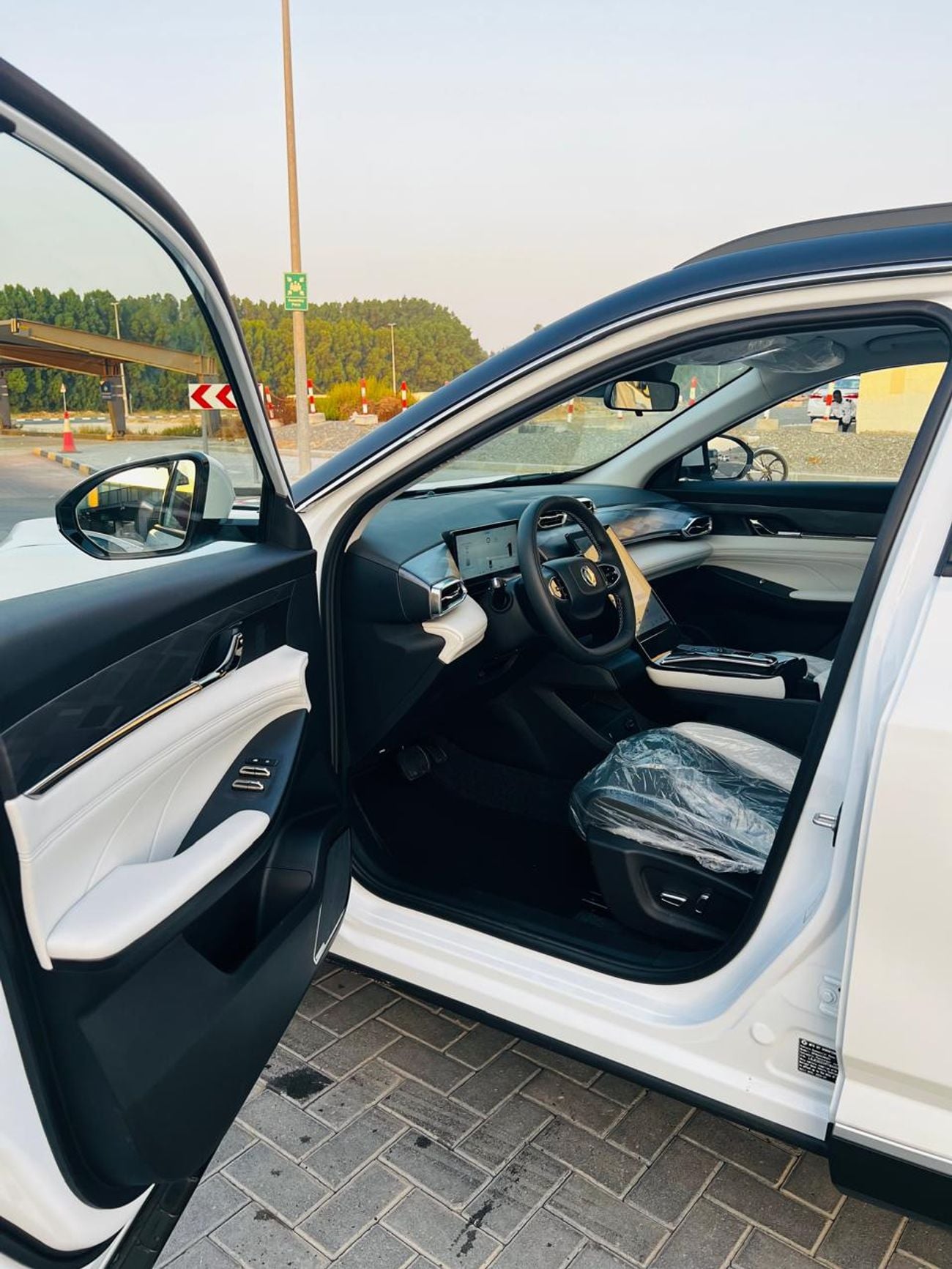 Dongfeng Mage