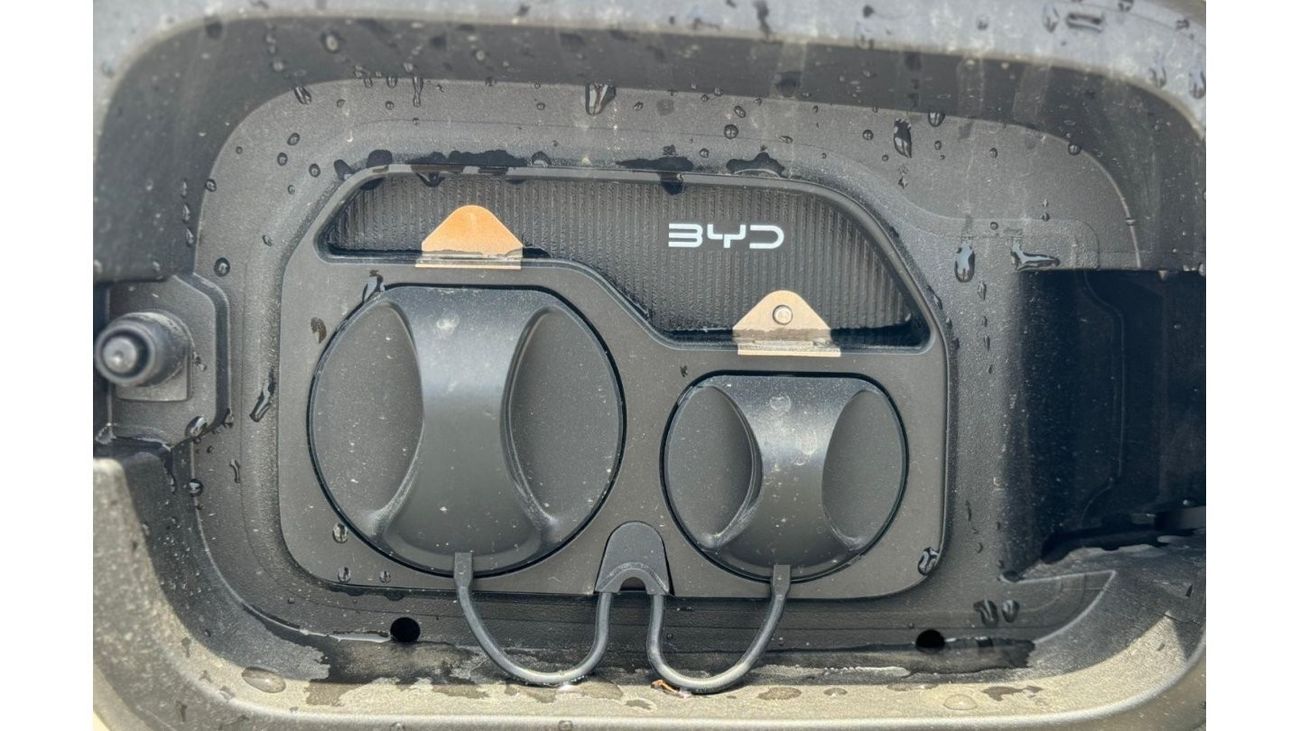 BYD Seagull SEAGULL FLYING HI 2024 HATCHBACK  ELECTRIC