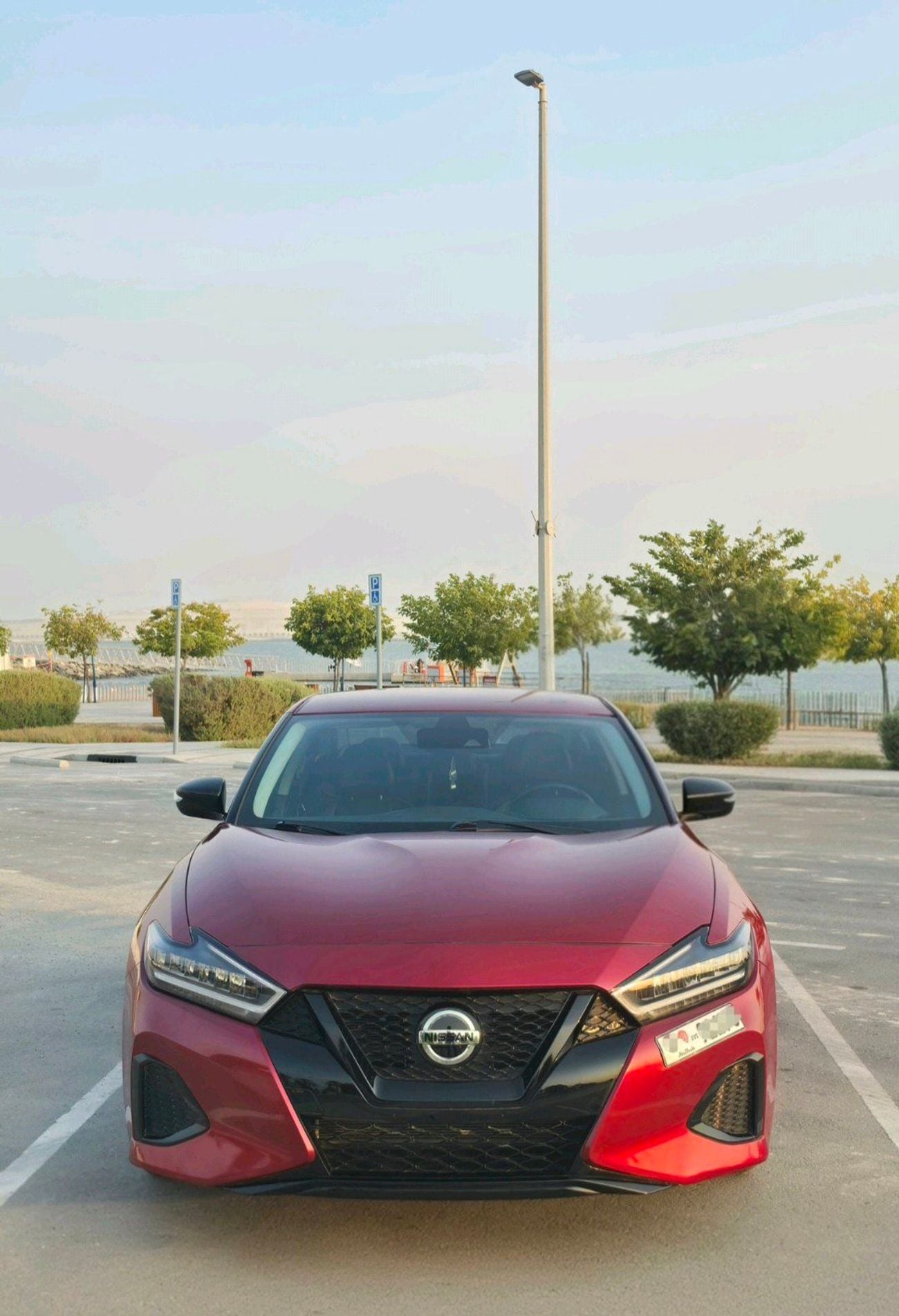 Nissan Maxima SV