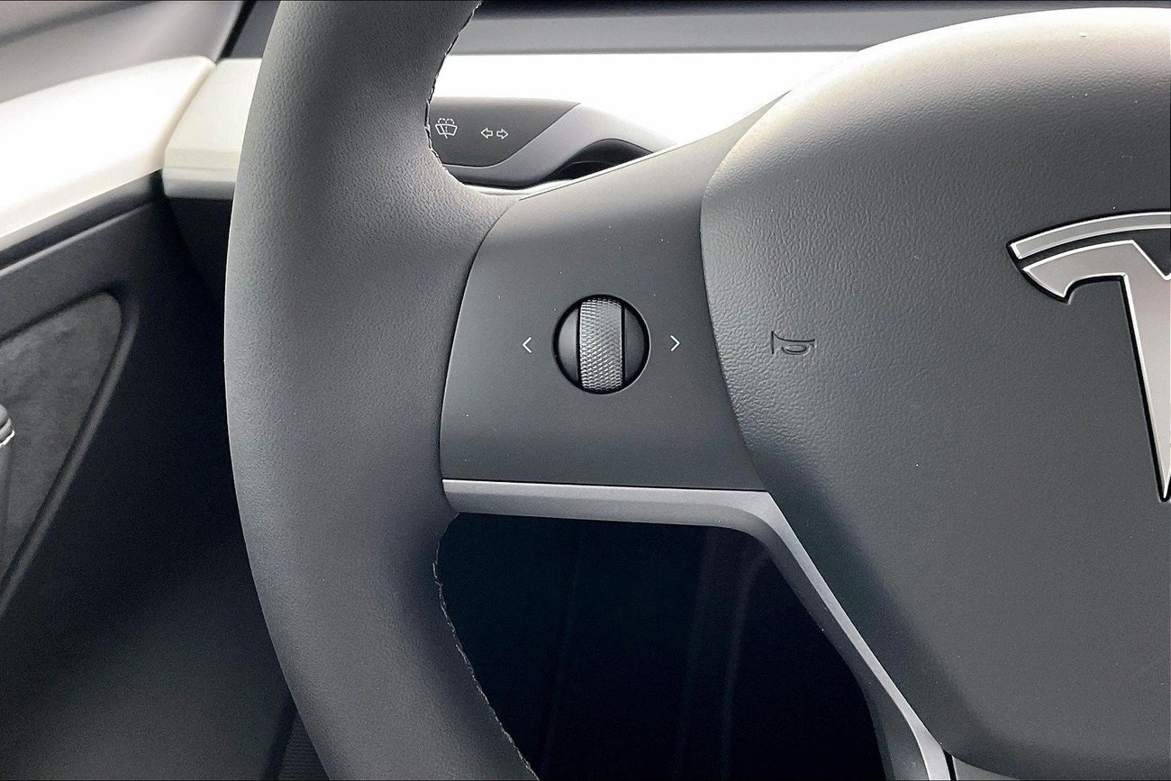 Tesla Model 3 Long Range (Dual Motor)