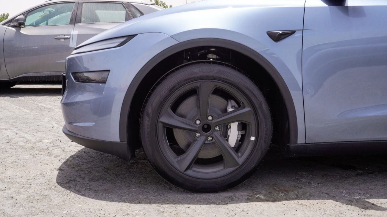 Tesla Model Y Real-Wheel Drive || Standard Range