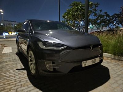 Tesla Model X orignal paint