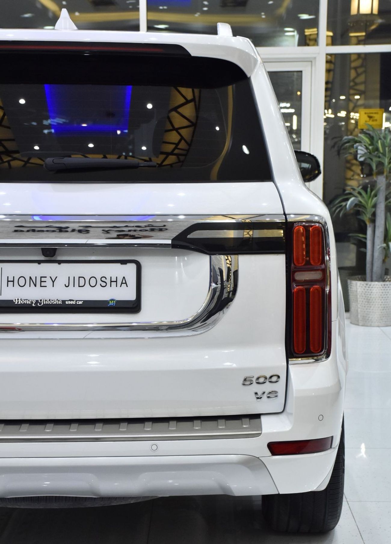 Tank 300 EXCELLENT DEAL for our GWM TANK 500 ( 2024 Model ) in White Color GCC Specs