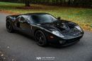 Ford GT Rare 1 of 14 Stripe Delete