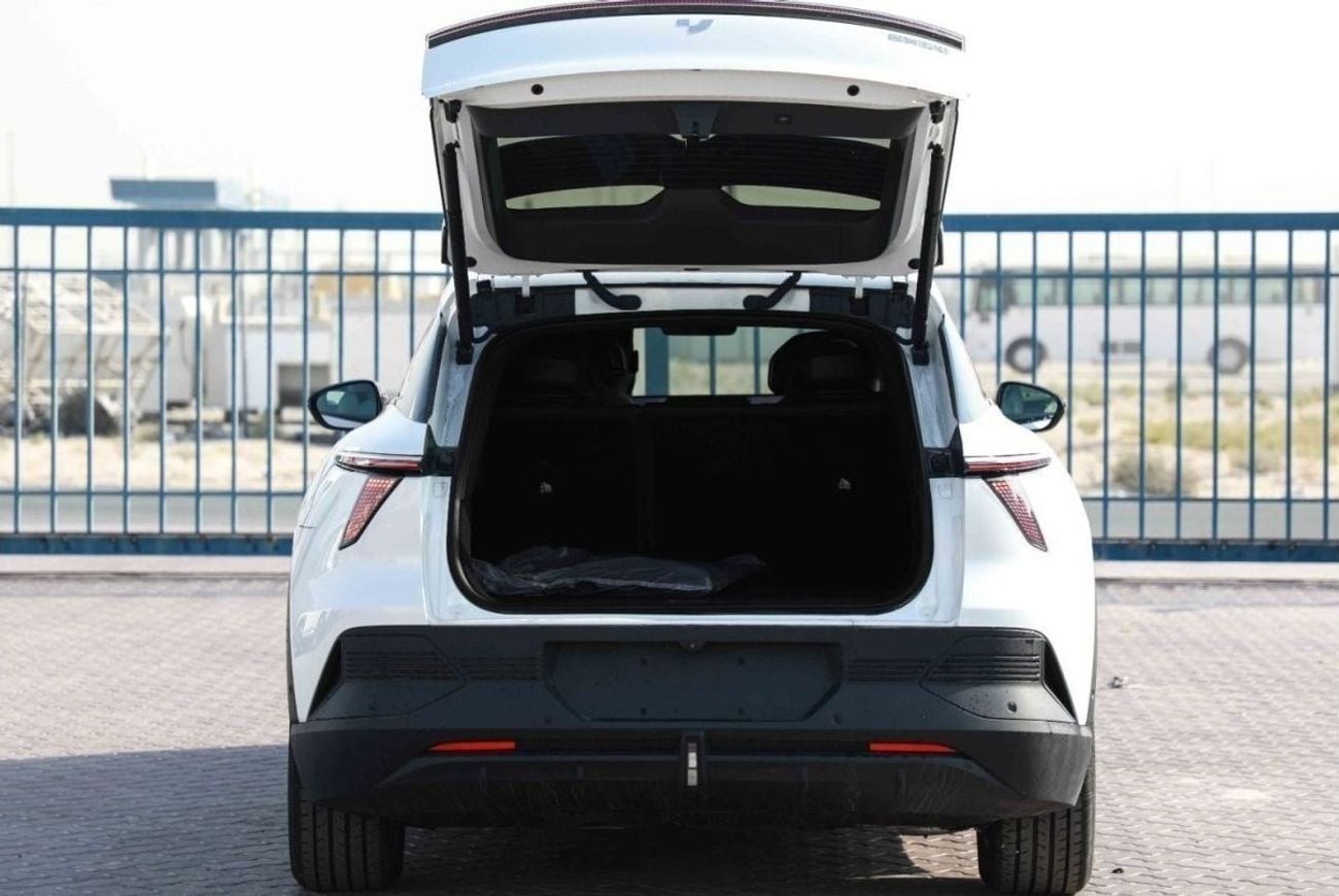 Jidu 1 Max EV - White Inside Black | Export Only