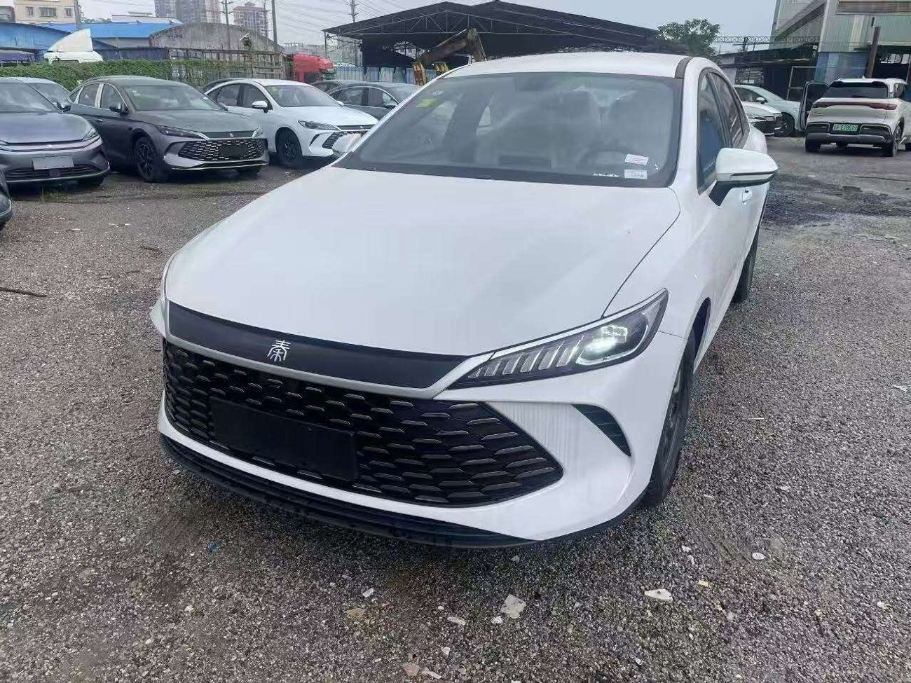 بي واي دي كين بلاس DM-i 55KM Leading Edition