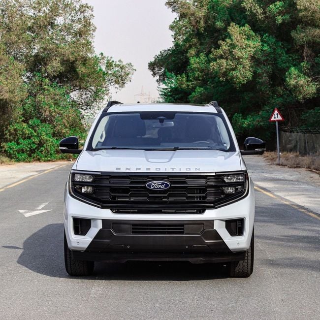 Ford Expedition, миниатюра 29