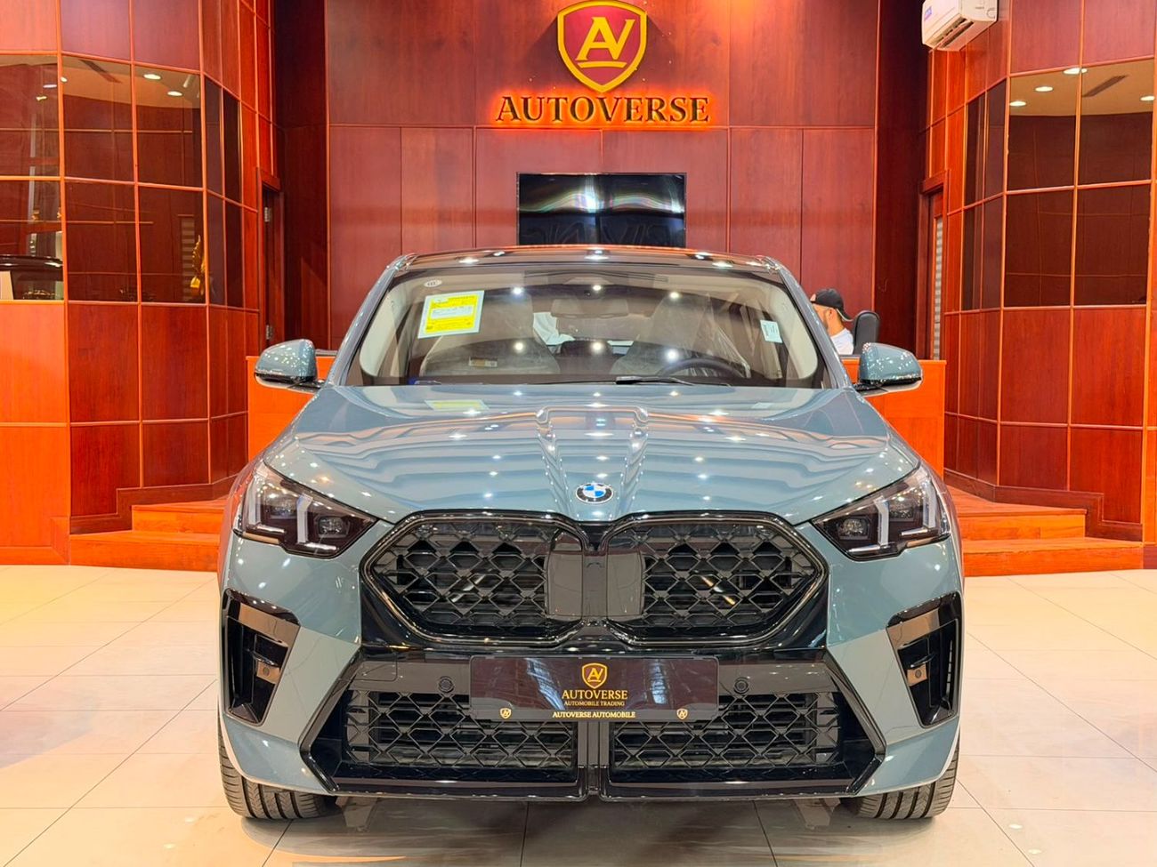 BMW X2