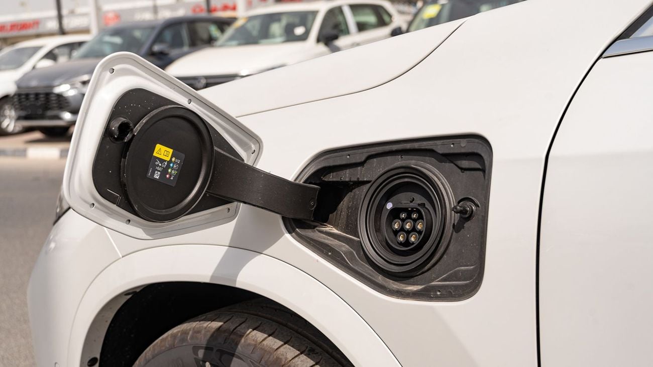 بي أم دبليو iX1