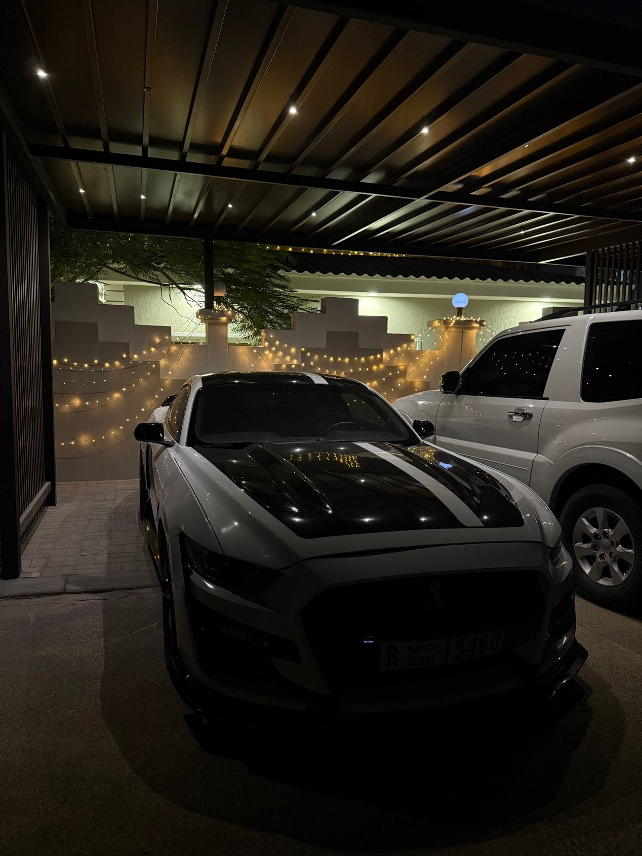 Ford Mustang Mustang GT 5.0 manual