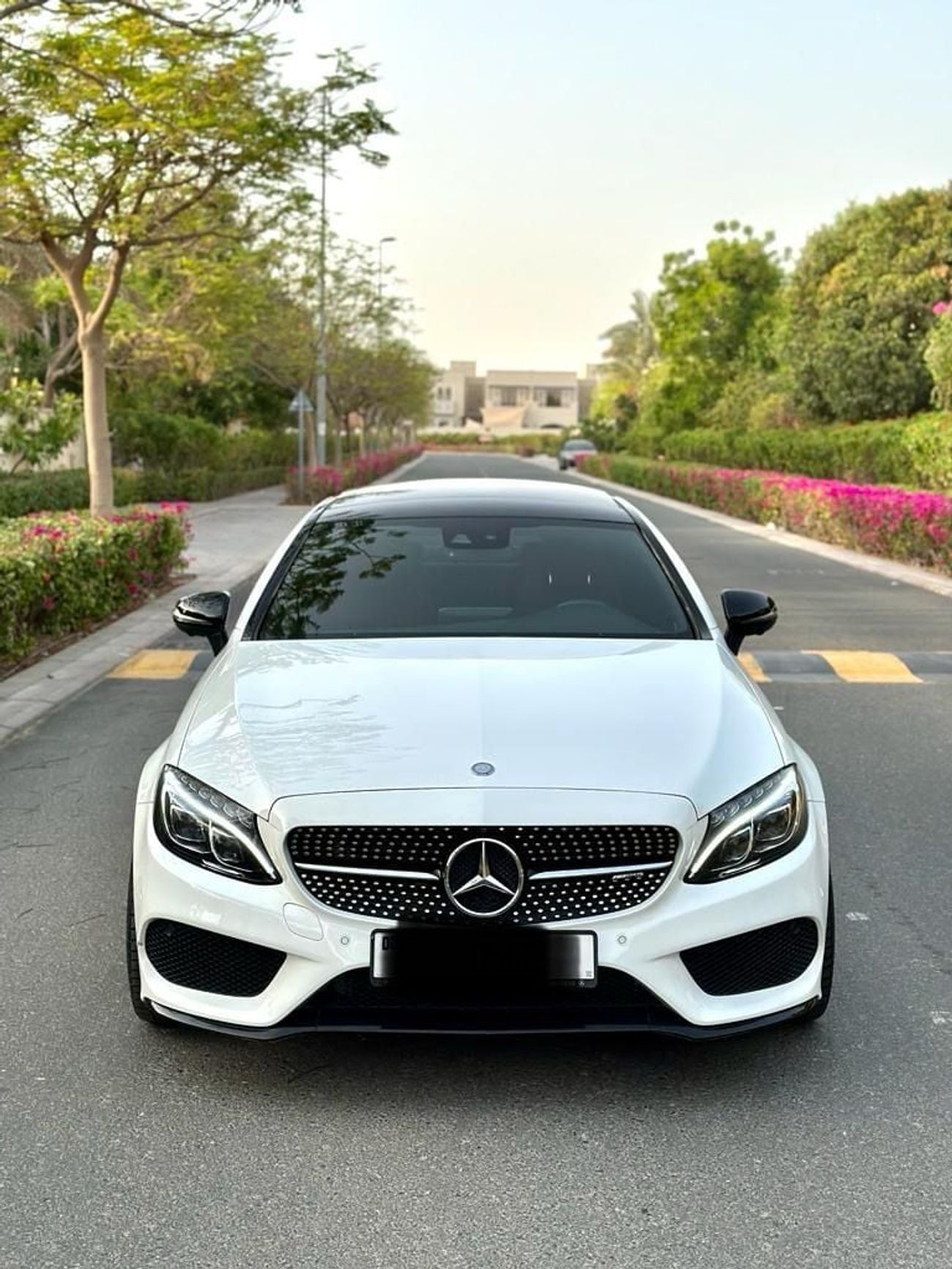 Mercedes-Benz C 43 AMG Std 3.0L