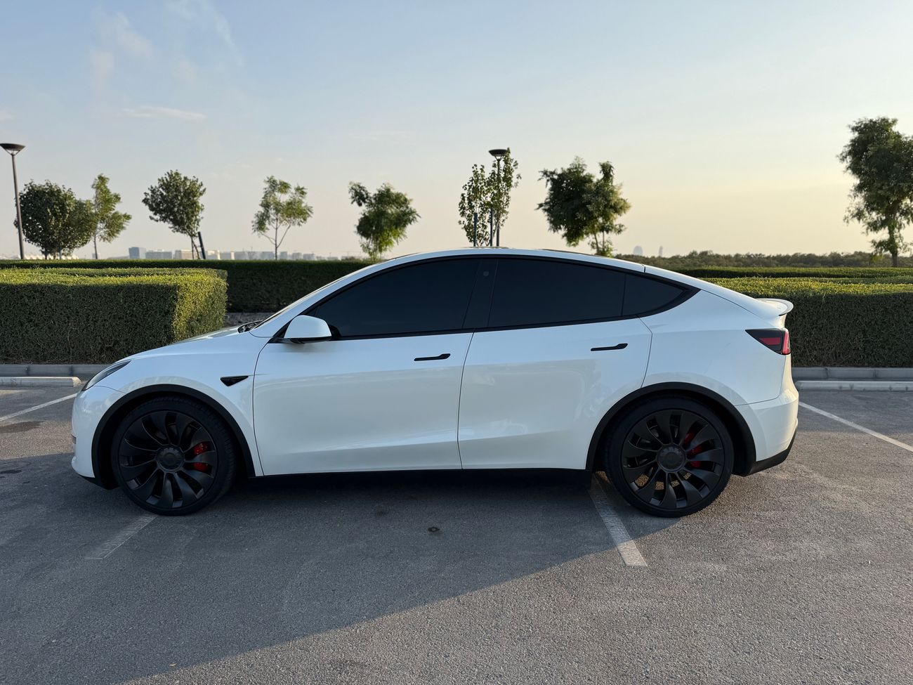 تسلا موديل Y