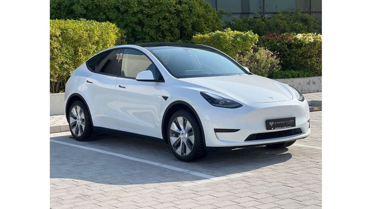 تسلا موديل Y