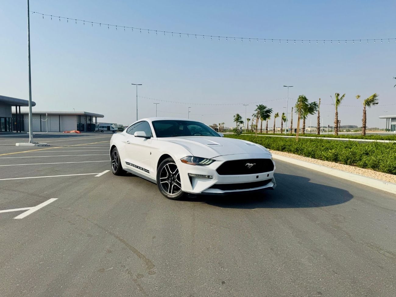 Ford Mustang STD