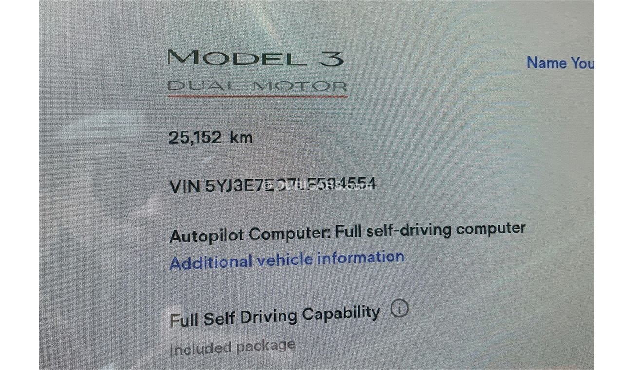 Tesla Model 3 Performance (Dual Motor)