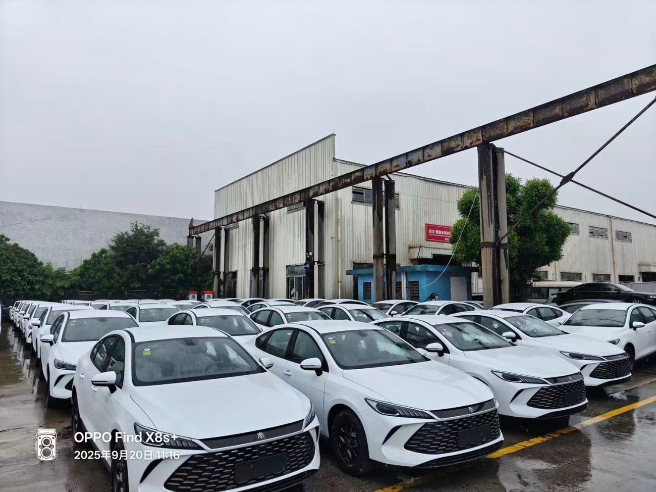 BYD QIN PLUS Byd qin plus DMI55 km
