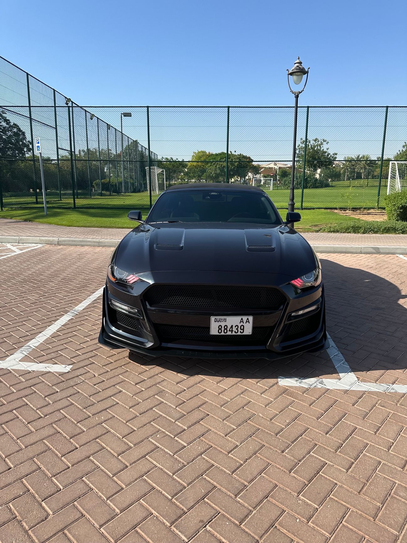 Ford Mustang GT (Not Flooded)