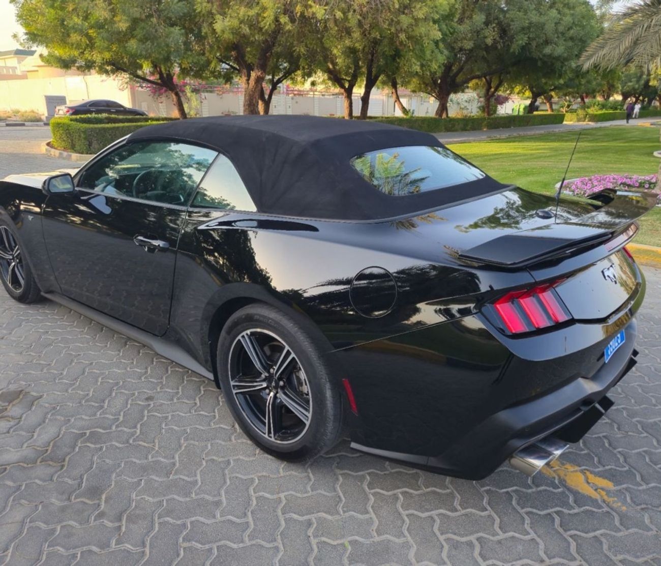 Ford Mustang EcoBoost 2.3L Convertible A/T